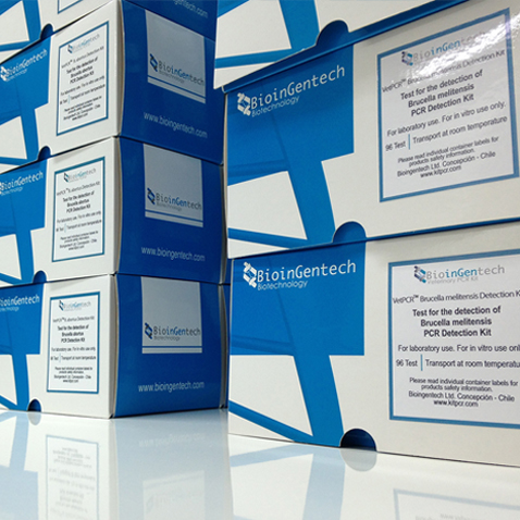 Avian influenza virus, serotype H7N1 PCR kit