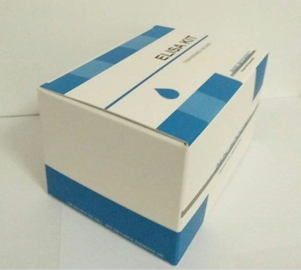 Rat Platelet antibodies IgG ELISA kit