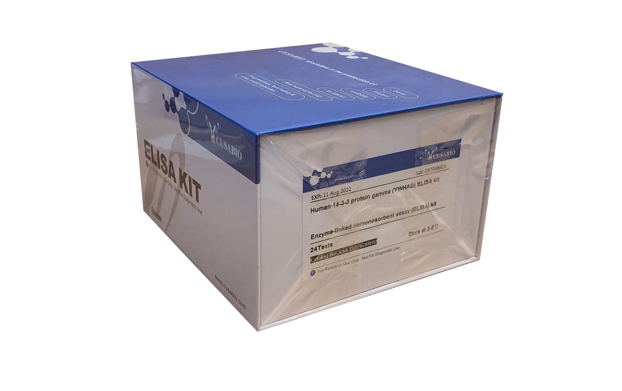 Human Fibroblast growth factor 17(FGF17) ELISA kit thumb 1
