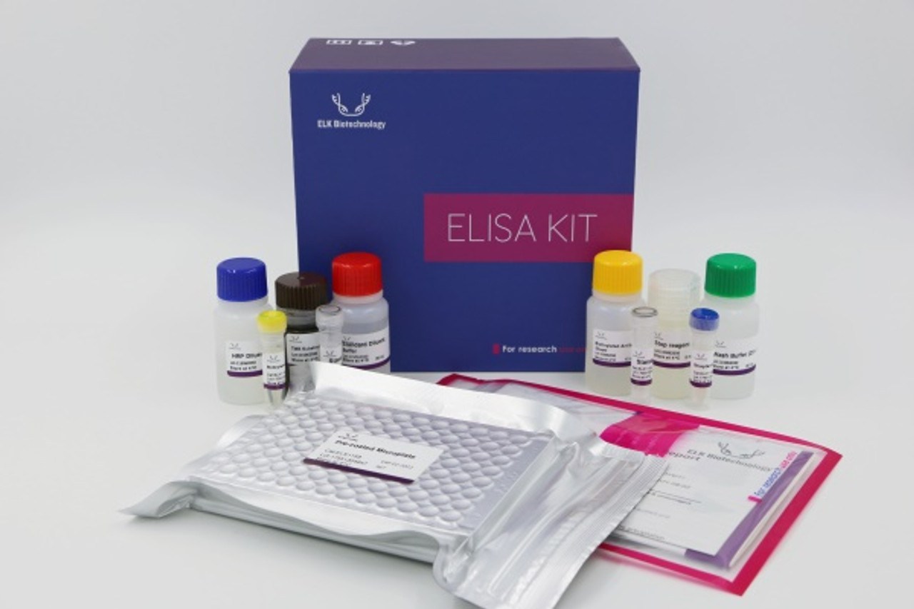 ELISA kit for Human VAMP2 (Vesicle Associated Membrane Protein 2) thumb 1