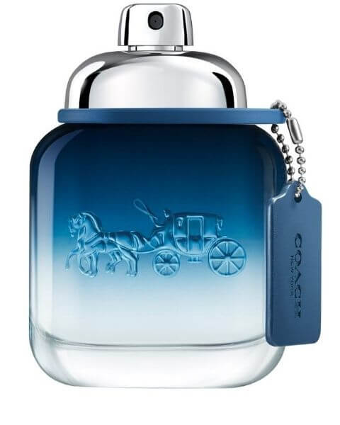 Coach Blue Eau De Toilette Spray Von Coach Online Parfum De