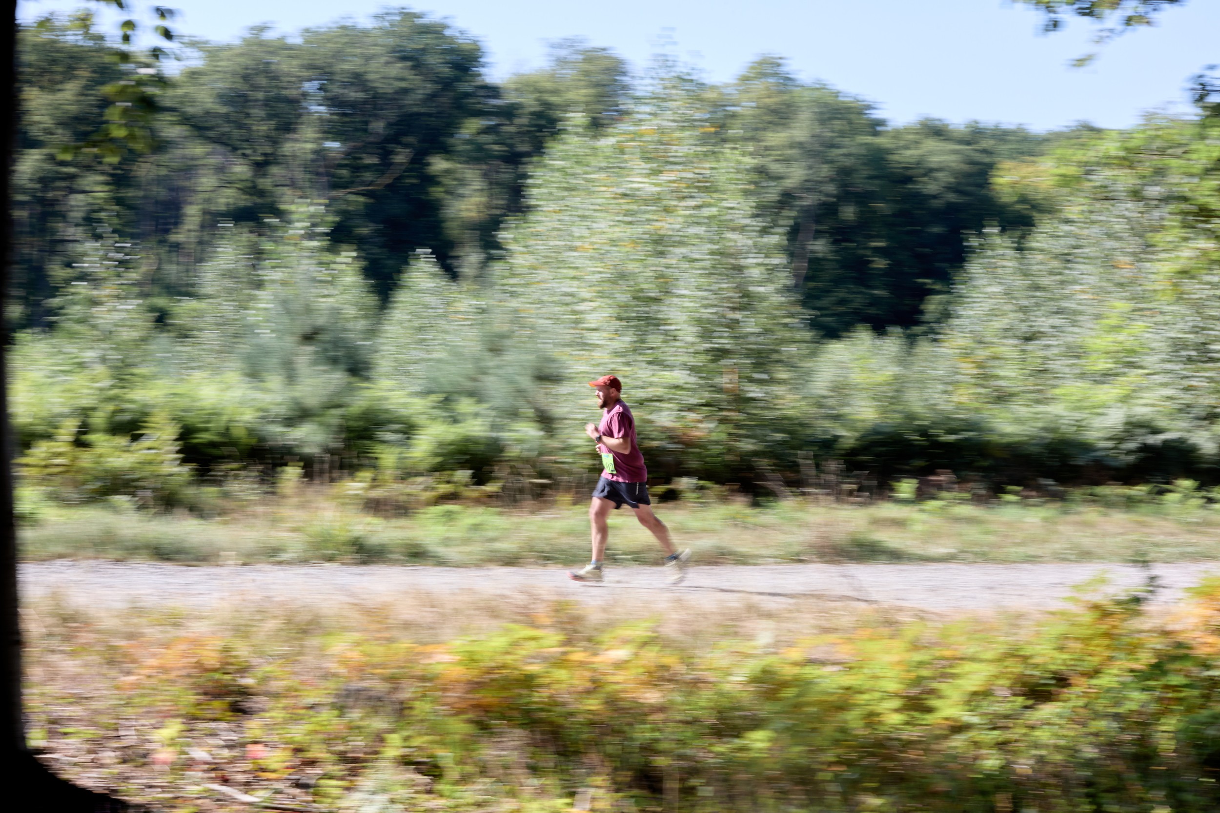 WVGAL0650_238A4454.jpg