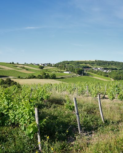 WVGAL1156_TrailDeSancerre_BO_WV_103.jpg