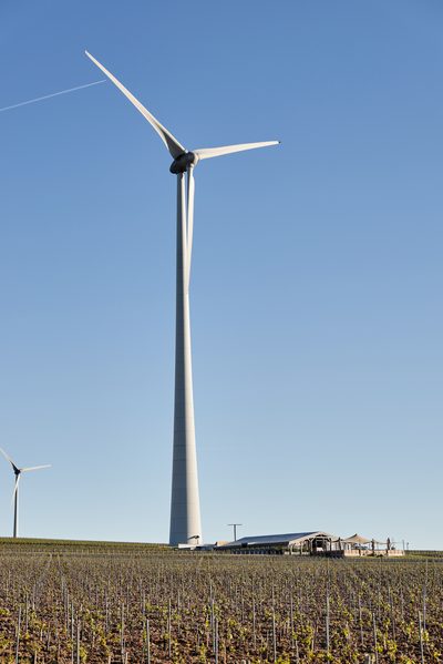 WVGAL1860_6C2A6347.jpg