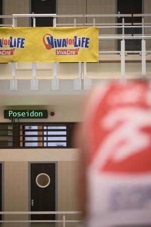 WVGAL2855_LF3_vivaforlife25_DE SUTTER NATHAN_227.jpg