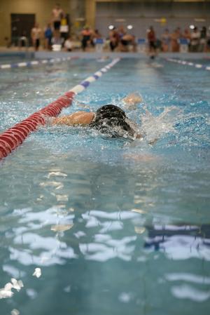 WVGAL2855_LF3_vivaforlife25_DE SUTTER NATHAN_232.jpg