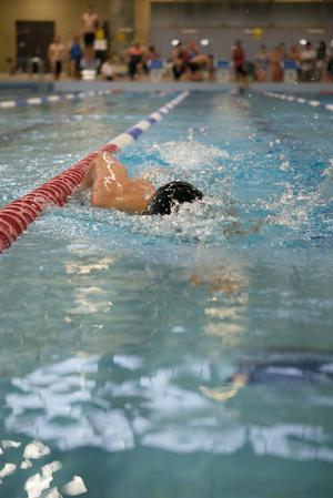 WVGAL2855_LF3_vivaforlife25_DE SUTTER NATHAN_233.jpg